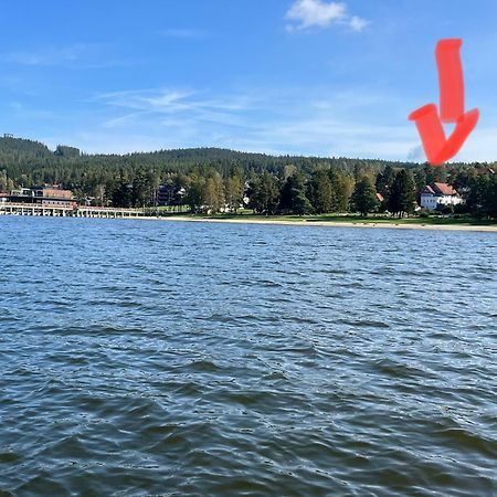 Apartament Riviera Lipno 415 Lipno nad Vltavou Zewnętrze zdjęcie