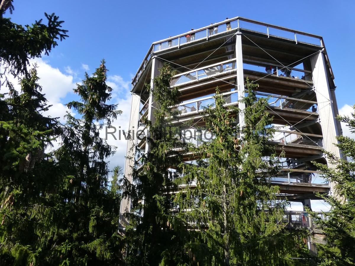 Apartament Riviera Lipno 415 Lipno nad Vltavou Zewnętrze zdjęcie